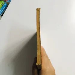 NGUYỄN ĐÌNH CHIỂU VỚI NGƯ TIỀU VẤN ĐÁP Y THUẬT 1983 796534