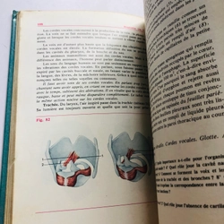 HOMME  - Anatomy  - PPhysiologie  - Hygiene  552554