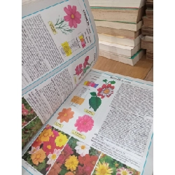 The bedding plant expert - Dr. D.G.Hessayon 795872