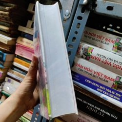 Văn hoá VN tìm tòi và suy ngẫm 443299