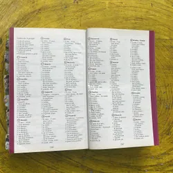 DICTIONNAIRE HACHETTE JUNIOR CE-CM 8-11 ANS 697410