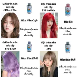 Dầu Gội Bù Màu Anne Dành Cho Tóc Tẩy 250ml 100ml 761446