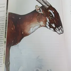 VIETNAM A NATURAL HISTORY - VIỆT NAM LỊCH SỬ TỰ NHIÊN 606041