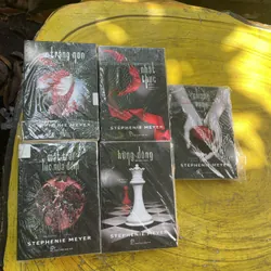 BOXSET CHẠNG VẠNG FULL 5 CUỐN 597227