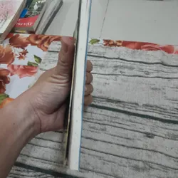 Văn học Rumani: Quán trọ Ancuta. Mihail Sadoveanu 596154