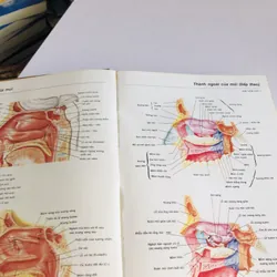 ATLAS GIẢI PHẪU NGƯỜI 1997 706683