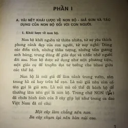 Chế tác non bộ 970633