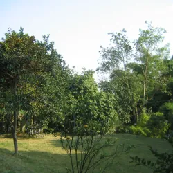 CANON IXY DIGITAL30(canon zoom lens 5.4 - 10.8 mm | 1:2.8 - 3.9 | 3.2 Mega pixels) 927093