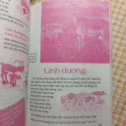 ĐỘNG VẬT • THẾ GIỚI DIỆU KỲ 782629