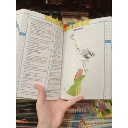 Primary Dictionary: Learn with words (Age 7+) 451987