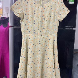 Đầm nữ đã qua sủ dụng size M