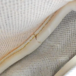 Túi phụ kiện Celine - Hàng hiệu Authentic 620437