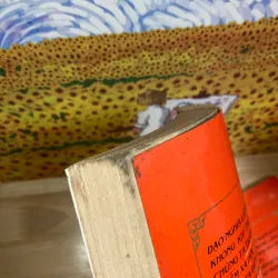 Giáo Tử Gia - Minh Tân, Phạm Hà Hải 957233