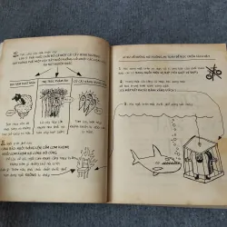 BÍ KÍP TRỞ THÀNH NHÀ NGUY HIỂM HỌC 719864