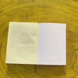 TUỔI THƠ DỮ DỘI - PHÙNG QUÁN 956988