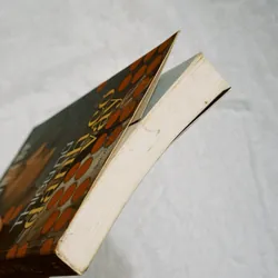 Thiếu nữ đánh cờ vây 701861