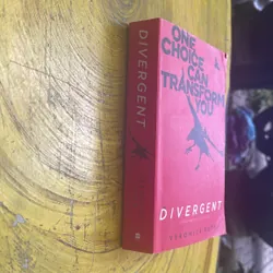 ONE CHOICE CAN TRANSFORM YOU- DIVERGENT- VERONICA ROTH 594509