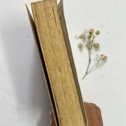 Nanh Trắng - Jack London (Bản bỏ túi Đông A) 598021