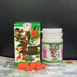 Xạ Hương Nhân Sâm Thiên Ma Tốt ĐAU NHỨC XƯƠNG KHỚP 20 Viên