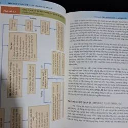 Hồi sức cấp cứu tiếp cận theo các phác đồ 1000562