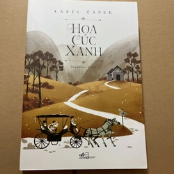 Hoa cúc xanh