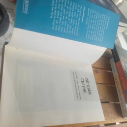 Cắt giảm chi phí	B.T. Kearney & Hitoshi Kuriya 519953