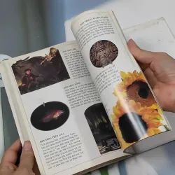 Phát Minh, Sáng Chế - Khoa Học, Kỹ Thuật: Ánh Sáng - David Burnie 750735