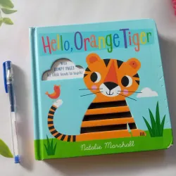 Hello, Orange Tiger
