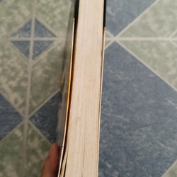 Anh bạn điển trai - Guy De Maupassant 510050