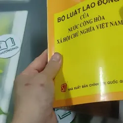Combo: Bộ Luật Lao Động Của Nước Cộng Hòa XHCN Việt Nam, Luật Đất Đai 727363