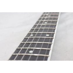 KZ GUITAR WORKS KZ ONE SEMI-HOLLOW DSD10 - Hàng hiệu Authentic 878017