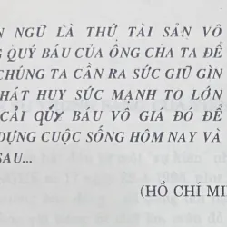 Chuyện vui chữ nghĩa và ngôn ngữ tiếng Việt 1010295