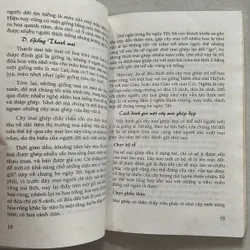 Thú chơi Mai ghép (Mai bonsai) 720792