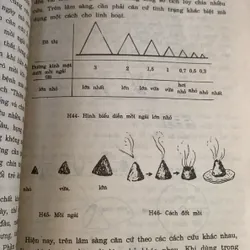 Châm cứu kết hợp cổ truyền với hiện đại, Lê Quý Ngưu 709492