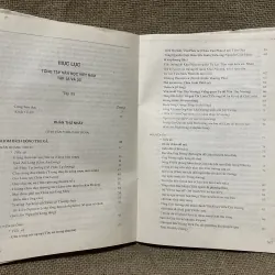 Tồng tập văn học Việt Nam tập- văn học trung đại thời Trần, Hồ  968628
