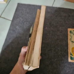 Freud đã thực sự nói gì - Jung đã thực sự nói gì - Phân tâm học 745015