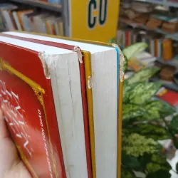 ĐẠO MẪU VIỆT NAM (TRỌN BỘ 2 TẬP BÌA CỨNG) - NGÔ ĐỨC THỊNH 976807