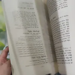 Kim Oanh Ký - Bát Tự Lữ Tài - Thái Kim Oanh 1018904