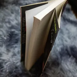 Cuộc sống vợ chồng (Sergio Pitol) 957637