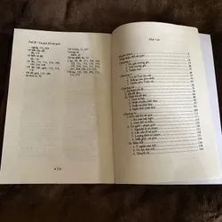 Du già bồ tát giới, Tuệ Sỹ 601328