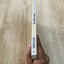 NHỮNG PHƯƠNG THỨC PHỤC HỒI SỨC KHỎE THEO TỰ NHIÊN  968659