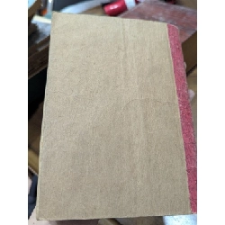 Bỏ vợ - Hồ Biểu Chánh