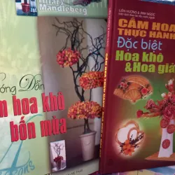 hướng dẫn làm hoa khô
