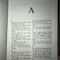 Từ điển đồng âm tiếng Việt  731490
