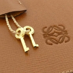 Túi Loewe - Hàng hiệu Chính hãng 805188