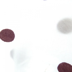 【Mã giảm giá】GANNI Đầm 651305