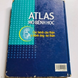 ATLAS MÔ BỆNH HỌC CÁCH BỆNH CẦU THẬN & BỆNH ỐNG - KẼ THẬN 524844