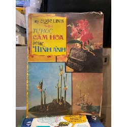 Tự học cắm hoa bằng hình ảnh - Quốc Linh 561248