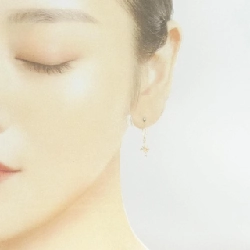 Bông tai kim cương Stargewery 0.02CT - Hàng hiệu Authentic 845300