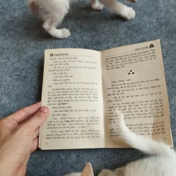 VUA MỘNG MƠ - LIÊM TRINH 567785